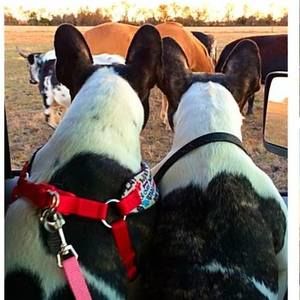 Meet your Posher, Lynette